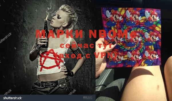 индика Алексин