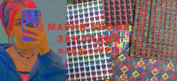 индика Алексин
