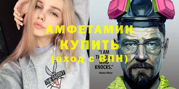 индика Алексин