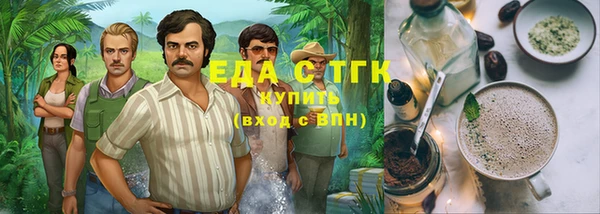 индика Алексин